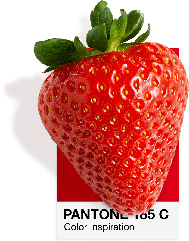 Pantone 185 C renk kartında çilek, Vatra kırmızısı